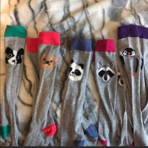 Sock bundle for person interested